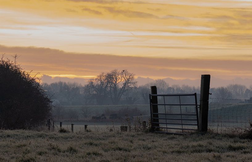 prairie dans le froid par Tania Perneel