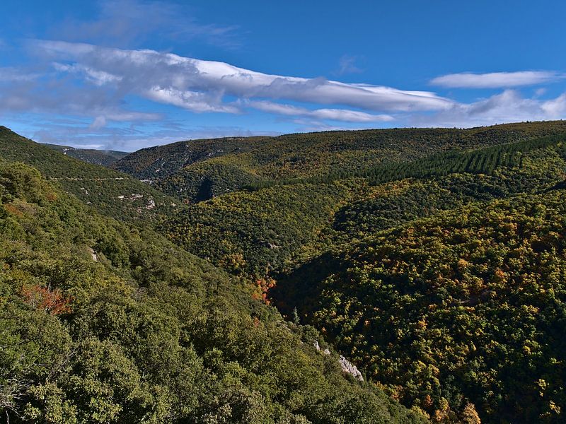 Westlicher Eingang der Gorges de la Nesque von Timon Schneider
