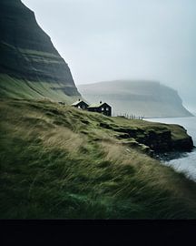 House with a view