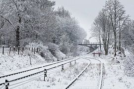 ZLSM-Strecke in Winterlackierung von Rob Boon