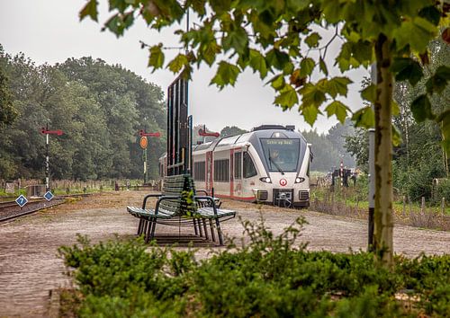 Veoliatrein op Station Simpelveld