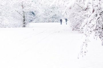 Winter wonderland by Nildo Scoop