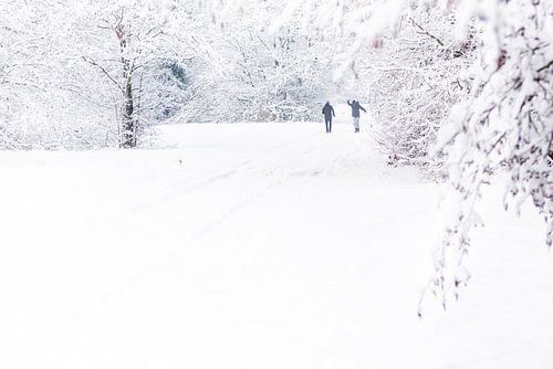 Winter wonderland