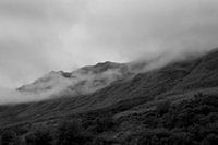Mist