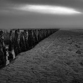 Op de Noordzee van Joerg Keller