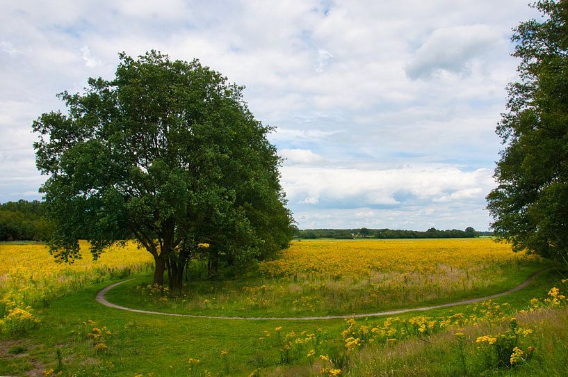 Schöner Weg von Natuurpracht   Kees Doornenbal