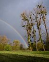 Regenboog met donkere wolken in het Geuldal in Limburg van Elles van der Veen thumbnail