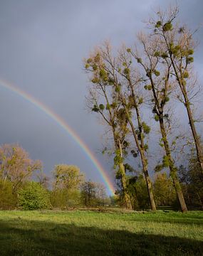 Regenboog met donkere wolken in het Geuldal in Limburg van Elles van der Veen