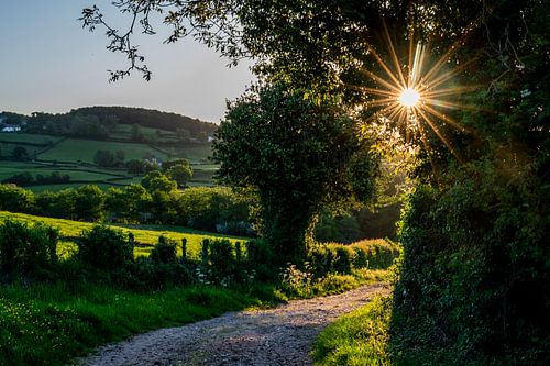 Morgensonne im Morvan