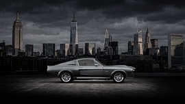 Shelby Legend by The White Rabbit