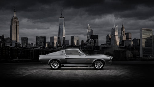 Shelby Legend