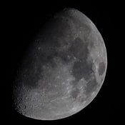 Daan van Herp Profile picture