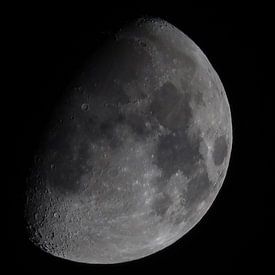 Daan van Herp Profile picture