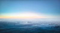 Foggy Morning