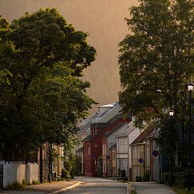 L'une des nombreuses jolies rues de Trondheim sur Koen Lipman