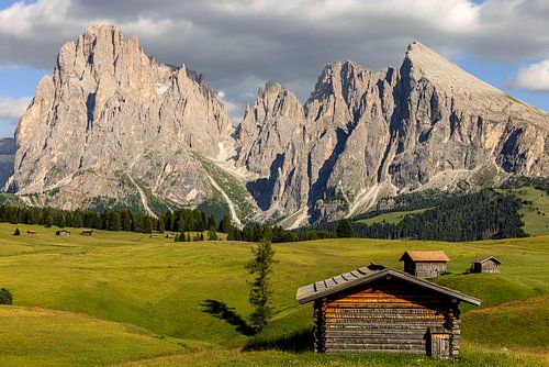 Groupe du Langkofel sur l'Alpe de Siusi