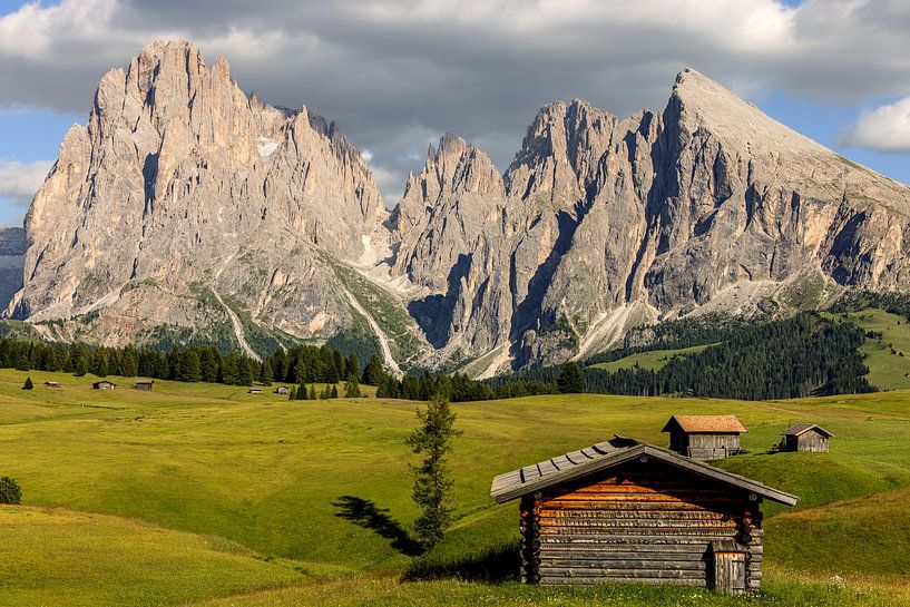 Langkofelgruppe auf der Seiser Alm von Dirk Rüter