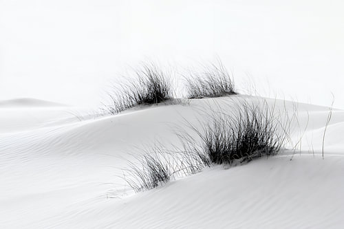 Duinlandschap aan het witte strand