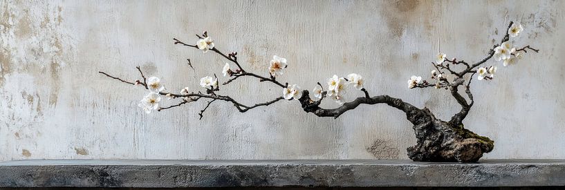 Nature in Balance: Elegant Blossom Branch on Concrete Panorama by Digitale Schilderijen