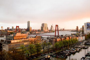 Blick auf Rotterdam von Nathalie Roost