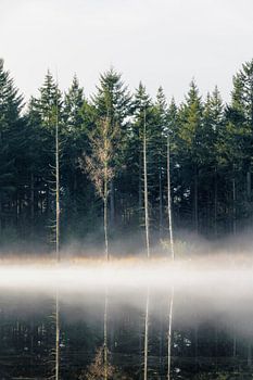 Unterschiedlich sein