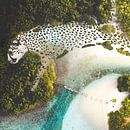 Digital surreal art Cheetah Beach by Martijn Schrijver thumbnail