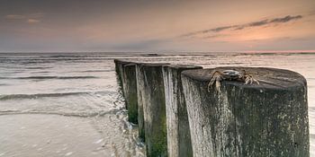 "Liebe ist wie die Sonne ... aber Sie können es bei der Suche!