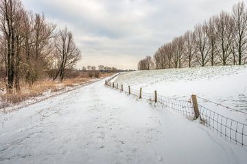 Nederlands landschap in het winter seizoen van Ruud Morijn