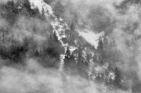 Paysage enneigé dans le brouillard