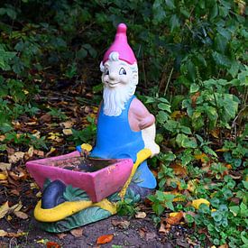 Fröhlicher Gartenzwerg mit Schubkarre im Garten von Jose Lok