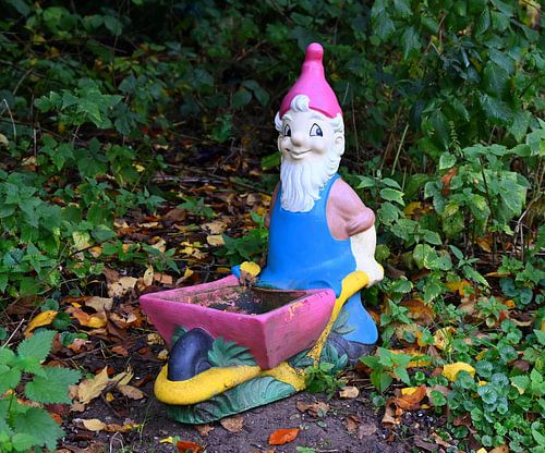 Cheerful garden gnome with wheelbarrow in the garden