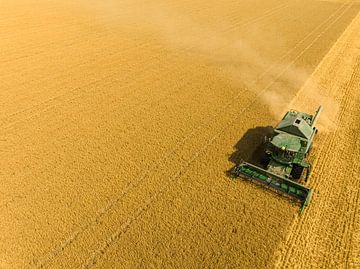 Combine harverster harvesting wheat during summer by Sjoerd van der Wal Photography
