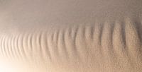 sable abstrait par Arjan van Duijvenboden Aperçu