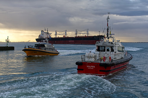 Lotsen der Westerschelde