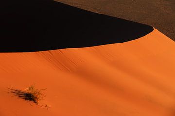 Sharp edge red sand dune van P Design