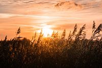 Zonsondergang in Midden-Delfland