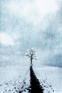 Arbre fantastique en hiver