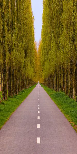 Panorama of the Elema's Path, Groningen by Henk Meijer Photography