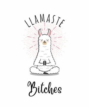 Lamaste Bitches T-Shirt grappig Yoga Namaste van ArtDesign by KBK