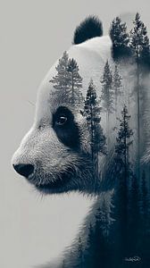 Pandabär / Pandabär
