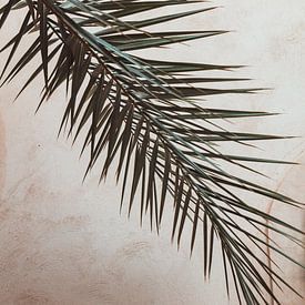 Branch of a palm tree in front of a wall by Ingrid Koedood Fotografie
