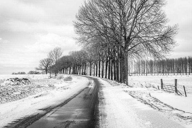 Monochrome image of a country road in a Dutch winter landscape by Ruud Morijn