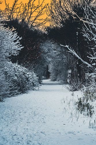 Sneeuw foto “Meeslepend en intens”