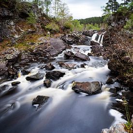 Rogie Falls - Schotse hooglanden van Remco Bosshard