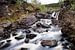 Rogie Falls - Schotse hooglanden von Remco Bosshard
