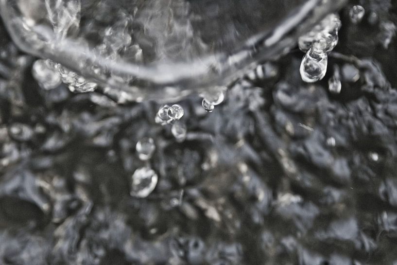 spel van water par trilisious picks
