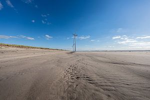 Plage de Rotterdam en été ensoleillé.