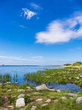 Landschap aan de Oostzeekust op het eiland Öland in Zweden van Rico Ködder