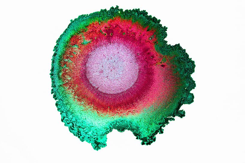 Serie Alcohol inkt Multiple colors van Rob Smit