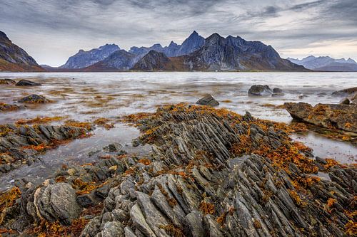 Lofoten